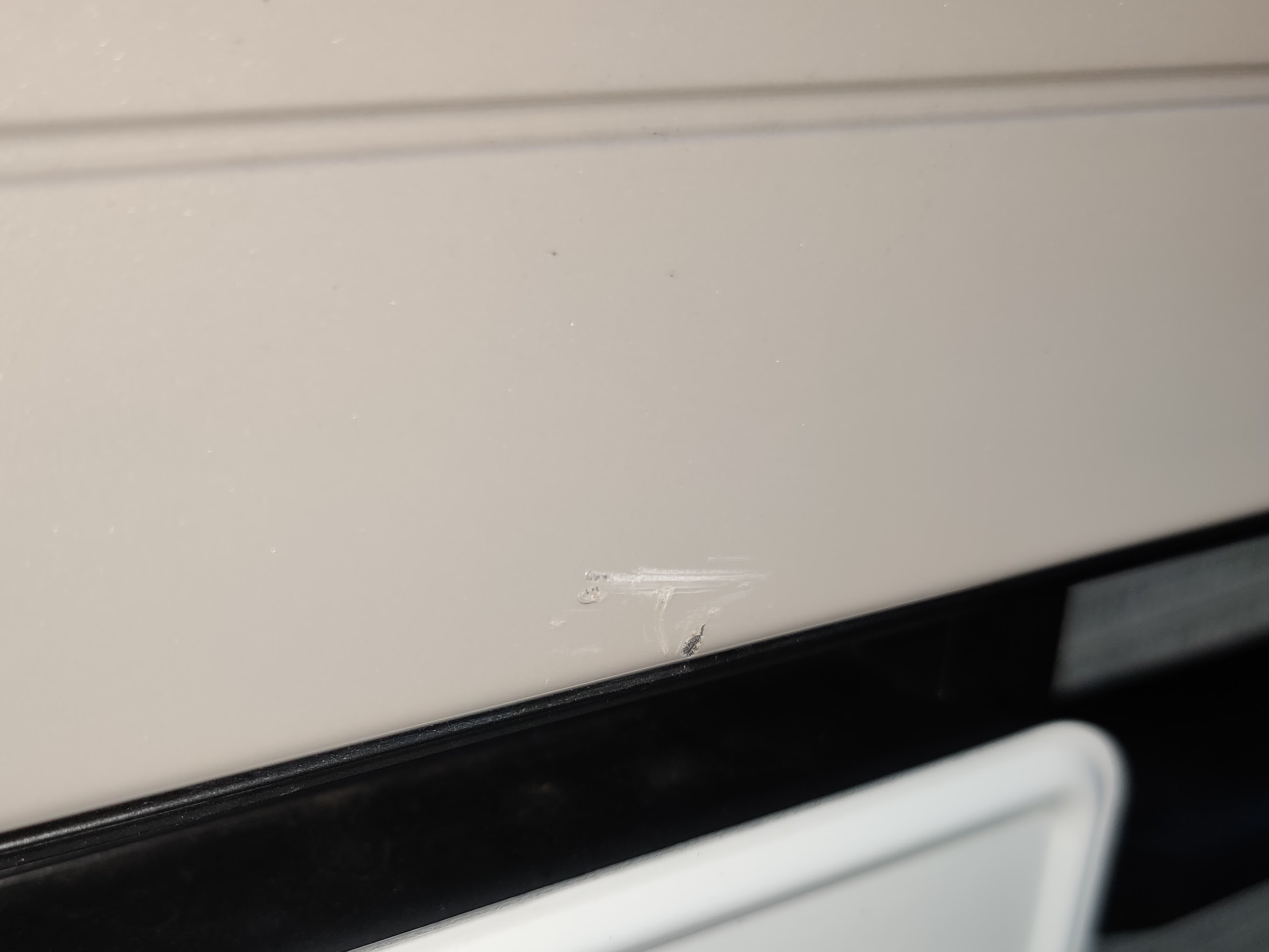 ラパン傷ついた