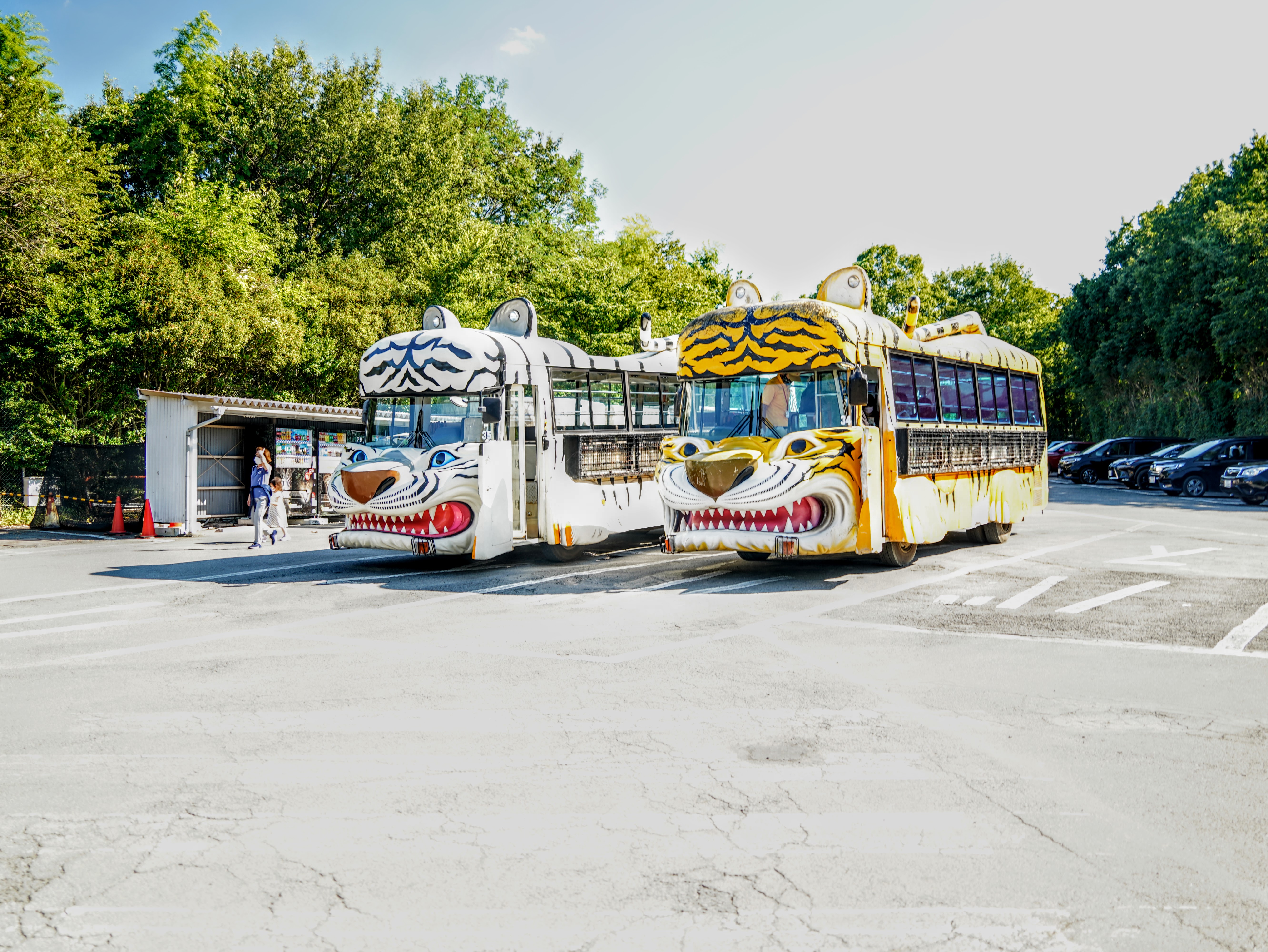 群馬サファリパークに行ってきた